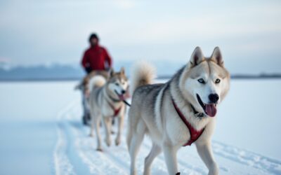Värmland in de winter